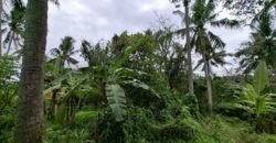 Dijual Tanah Dekat Dengan Pantai Pariwista Di Selemadeg