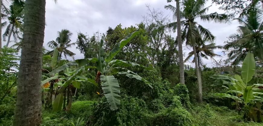 Dijual Tanah Dekat Dengan Pantai Pariwista Di Selemadeg