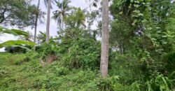 Dijual Tanah Dekat Dengan Pantai Pariwista Di Selemadeg