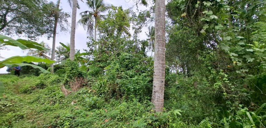 Dijual Tanah Dekat Dengan Pantai Pariwista Di Selemadeg