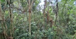 Dijual Tanah Dekat Dengan Pantai Pariwista Di Selemadeg