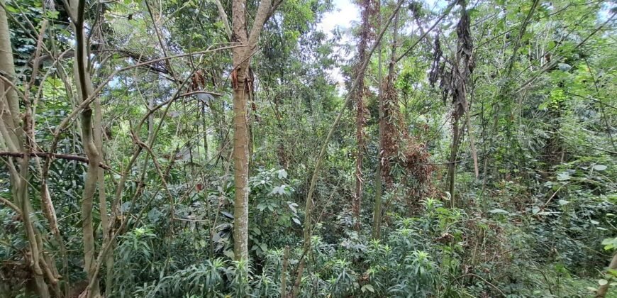 Dijual Tanah Dekat Dengan Pantai Pariwista Di Selemadeg