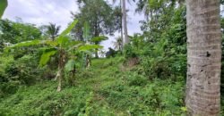 Dijual Tanah Dekat Dengan Pantai Pariwista Di Selemadeg