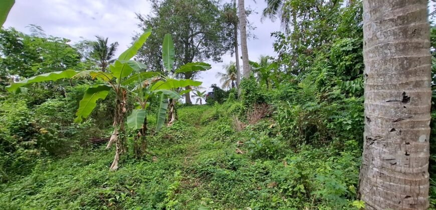 Dijual Tanah Dekat Dengan Pantai Pariwista Di Selemadeg