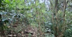 Dijual Tanah Dekat Dengan Pantai Pariwista Di Selemadeg