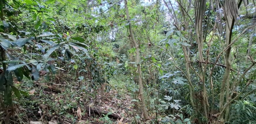 Dijual Tanah Dekat Dengan Pantai Pariwista Di Selemadeg