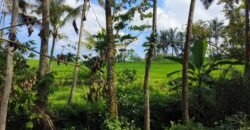 Tanah View Sawah Luasan Kecil