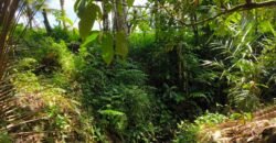 Tanah View Sawah Luasan Kecil