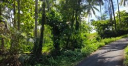 Tanah View Sawah Luasan Kecil