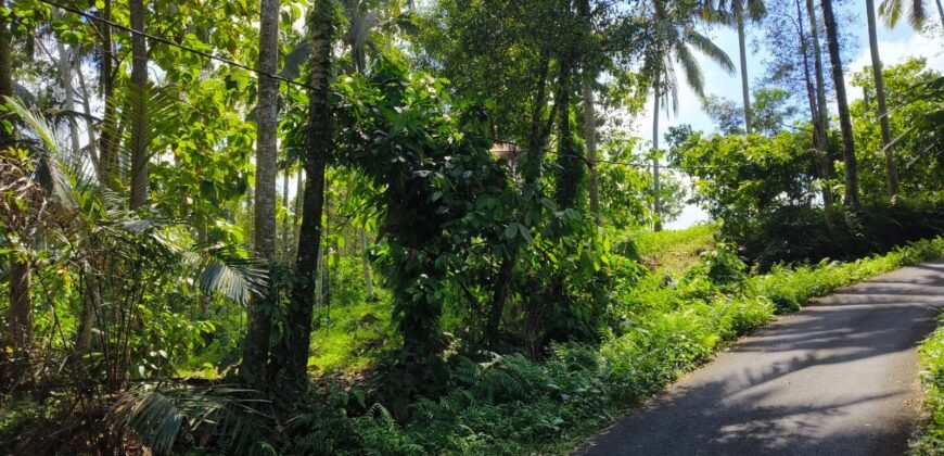 Tanah View Sawah Luasan Kecil