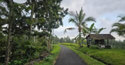 Tanah Kebun Los Sungai Kecil