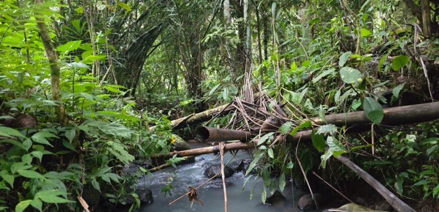 Tanah Kebun Los Sungai Kecil