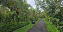 Tanah Kebun Los Sungai Kecil