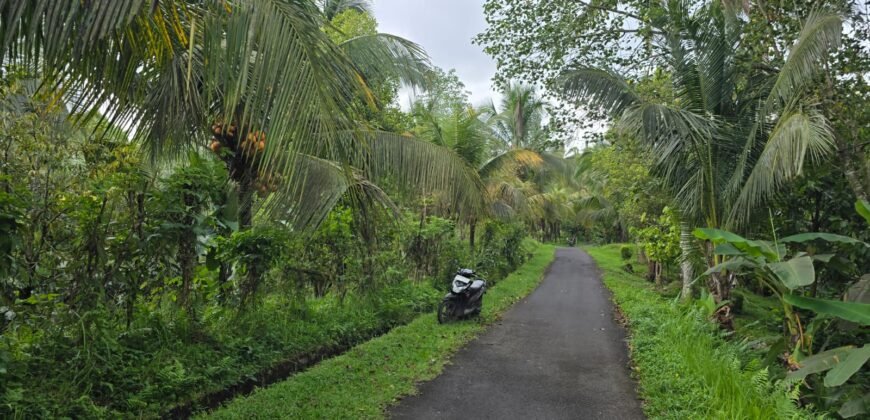 Tanah Kebun Los Sungai Kecil