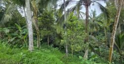 Tanah Kebun Los Sungai Kecil