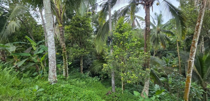 Tanah Kebun Los Sungai Kecil