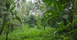 Tanah Kebun Los Sungai Kecil