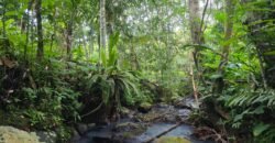 Tanah Kebun Los Sungai Kecil