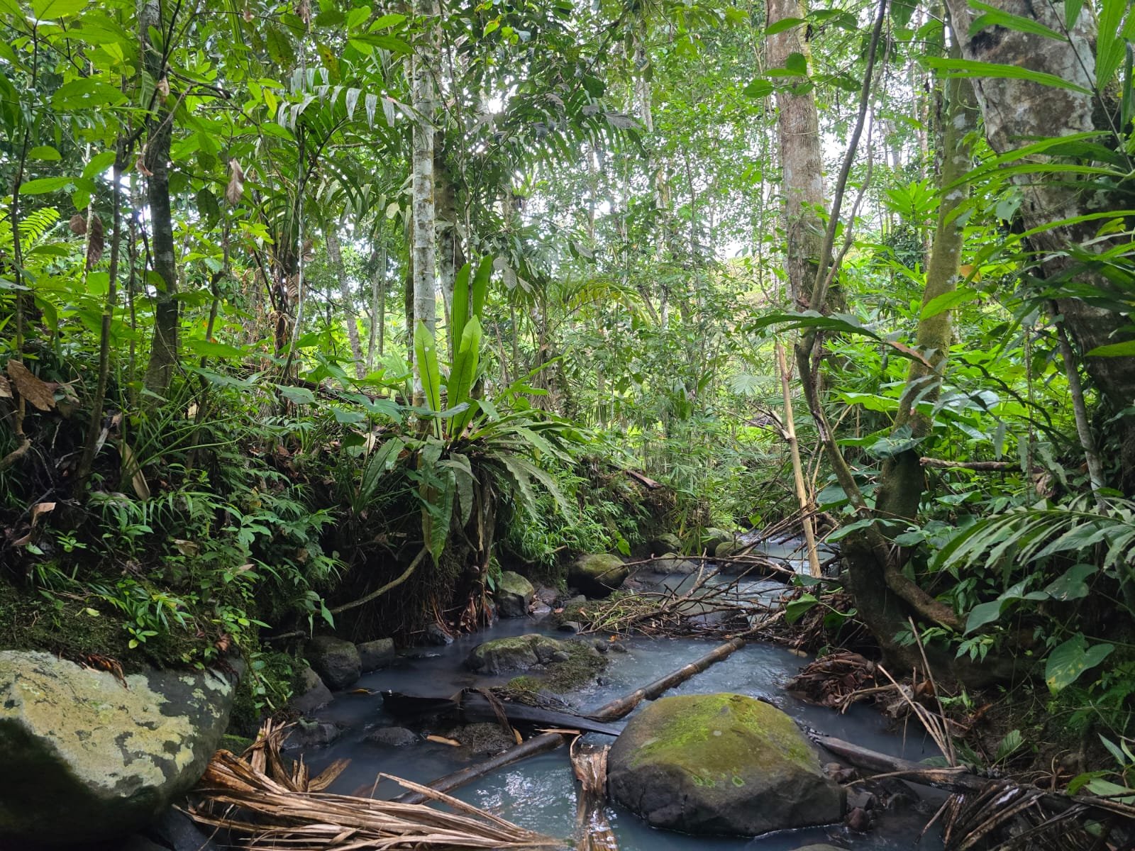Tanah Kebun Los Sungai Kecil
