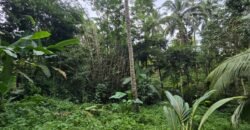 Tanah Kebun Los Sungai Kecil