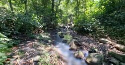 Tanah Los Sungai Murah Berada Di Daerah Pawisata