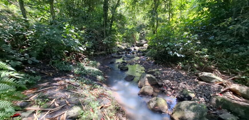 Tanah Los Sungai Murah Berada Di Daerah Pawisata