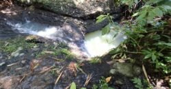 Tanah Los Sungai Murah Berada Di Daerah Pawisata