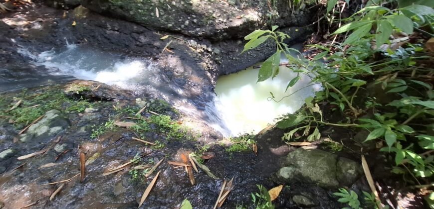 Tanah Los Sungai Murah Berada Di Daerah Pawisata
