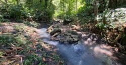 Tanah Los Sungai Murah Berada Di Daerah Pawisata