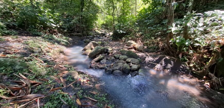 Tanah Los Sungai Murah Berada Di Daerah Pawisata