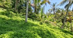 Tanah Los Sungai Murah Berada Di Daerah Pawisata