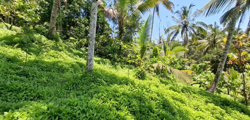 Tanah Los Sungai Murah Berada Di Daerah Pawisata