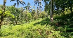 Tanah Los Sungai Murah Berada Di Daerah Pawisata