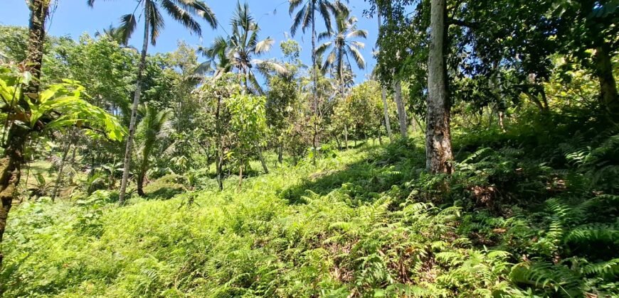 Tanah Los Sungai Murah Berada Di Daerah Pawisata