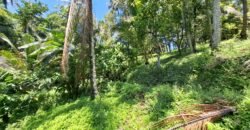 Tanah Los Sungai Murah Berada Di Daerah Pawisata