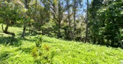 Tanah Los Sungai Murah Berada Di Daerah Pawisata