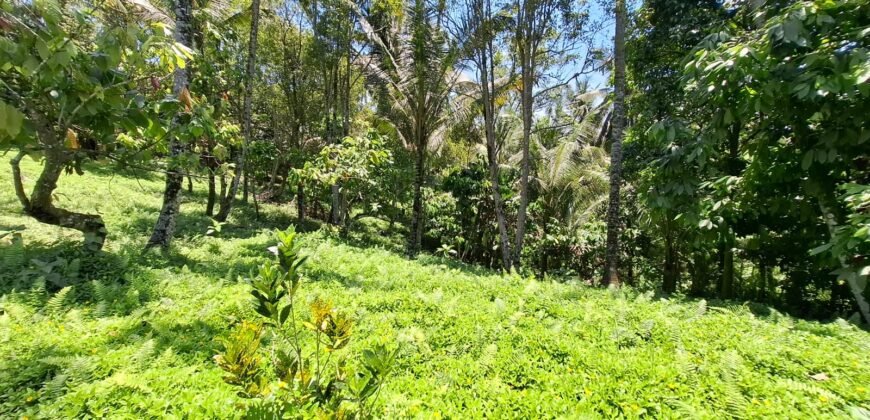 Tanah Los Sungai Murah Berada Di Daerah Pawisata