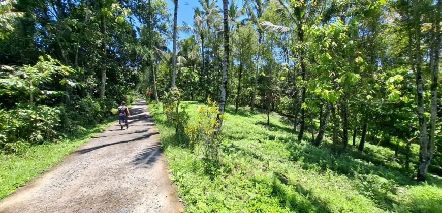 Tanah Los Sungai Murah Berada Di Daerah Pawisata