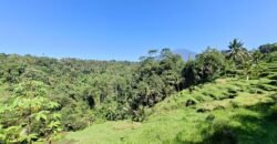 Tanah View Gunung, Sawah dan Los Sungai di Daerah Pariwisata Penebel