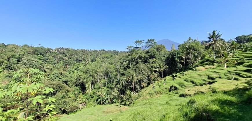 Tanah View Gunung, Sawah dan Los Sungai di Daerah Pariwisata Penebel