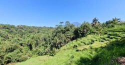 Tanah View Gunung, Sawah dan Los Sungai di Daerah Pariwisata Penebel