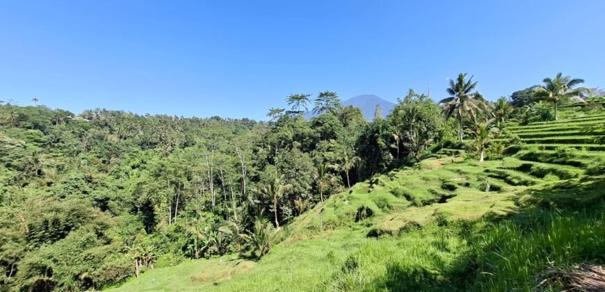 Tanah View Gunung, Sawah dan Los Sungai di Daerah Pariwisata Penebel