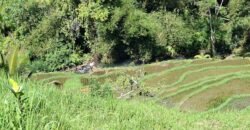 Tanah View Gunung, Sawah dan Los Sungai di Daerah Pariwisata Penebel