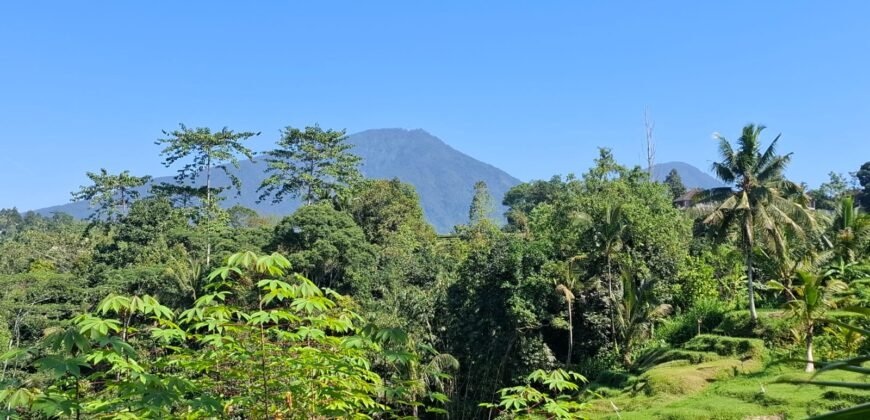 Tanah View Gunung, Sawah dan Los Sungai di Daerah Pariwisata Penebel