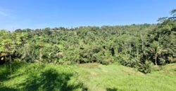 Tanah View Gunung, Sawah dan Los Sungai di Daerah Pariwisata Penebel