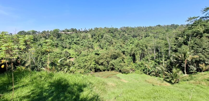 Tanah View Gunung, Sawah dan Los Sungai di Daerah Pariwisata Penebel