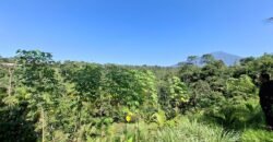 Tanah View Gunung, Sawah dan Los Sungai di Daerah Pariwisata Penebel