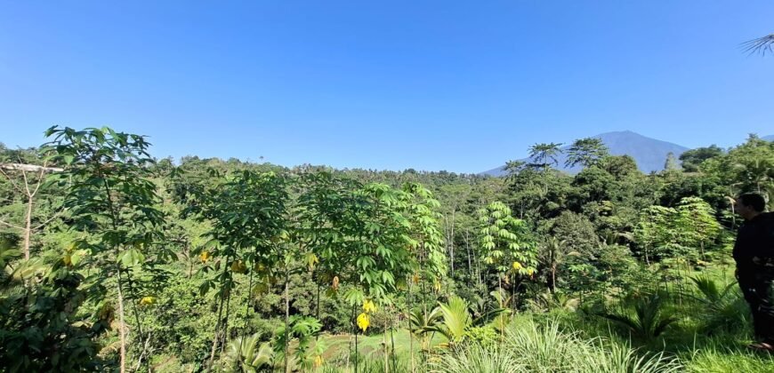 Tanah View Gunung, Sawah dan Los Sungai di Daerah Pariwisata Penebel