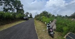Tanah Kebun View Bukit dan Lembah di Daerah Kintamani Bali