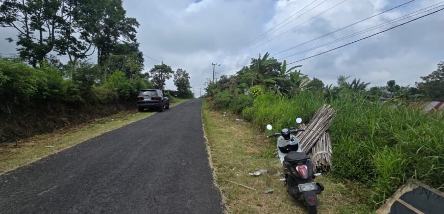 Tanah Kebun View Bukit dan Lembah di Daerah Kintamani Bali